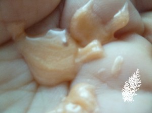 P1170694(1)