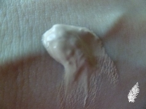 P1170773(1)