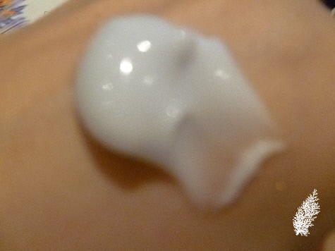 P1170935(1)