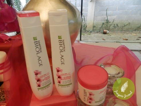 Matrix Biolage Core Range