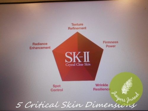 skii-e1466233153378