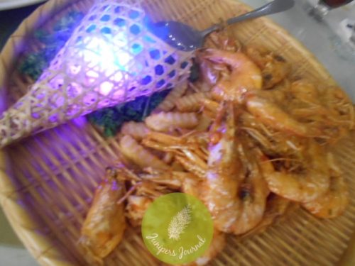 dscn2373