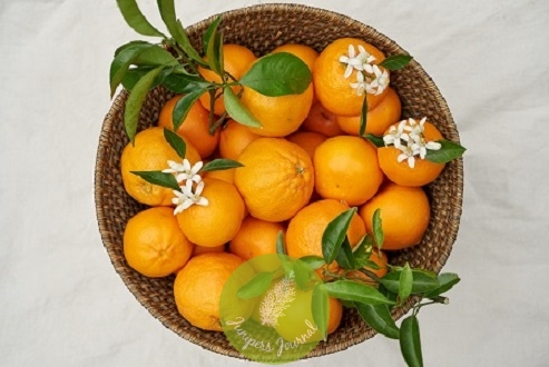 How Multi Vitamins In Your Skincare Benefit Your Skin