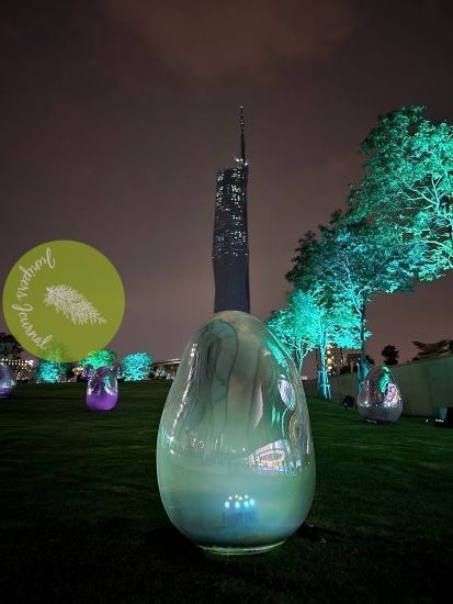 photo-7